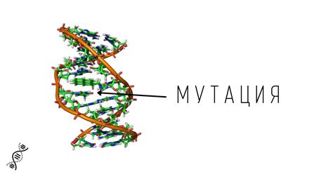  Генетика и мутации 