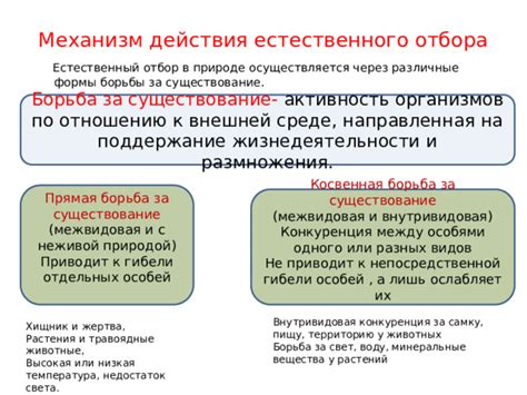  Генетические изменения через естественный отбор 