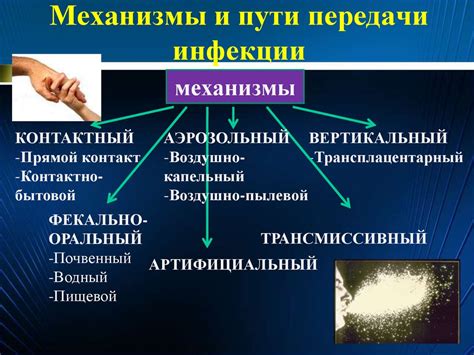  Значение профилактики охраны глаз от передачи инфекций: методы предосторожности в обыденной жизни 