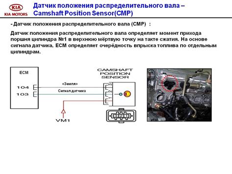  Информация о принципе работы и функциях современного бытового аппарата 