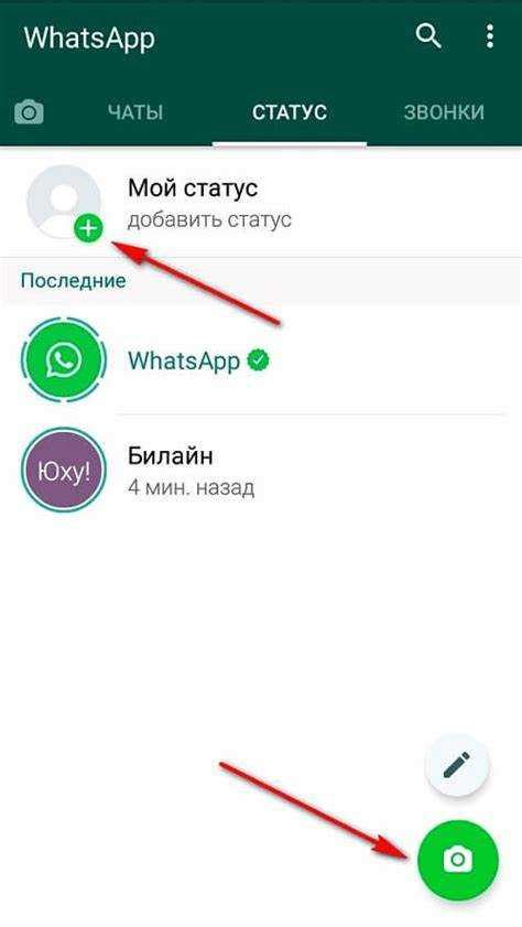  Использование статуса в WhatsApp для профессиональных целей и продвижения бренда 