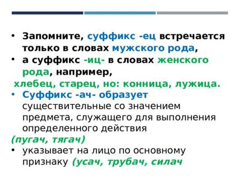  История возникновения и развития суффикса "чив" в русском языке 