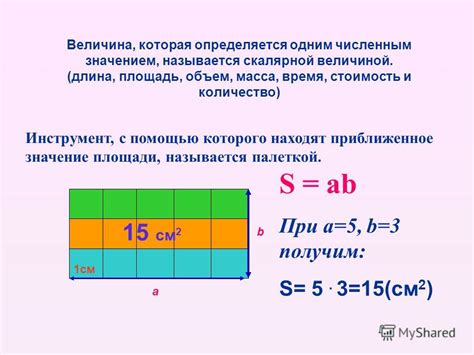  Как определяется площадь 