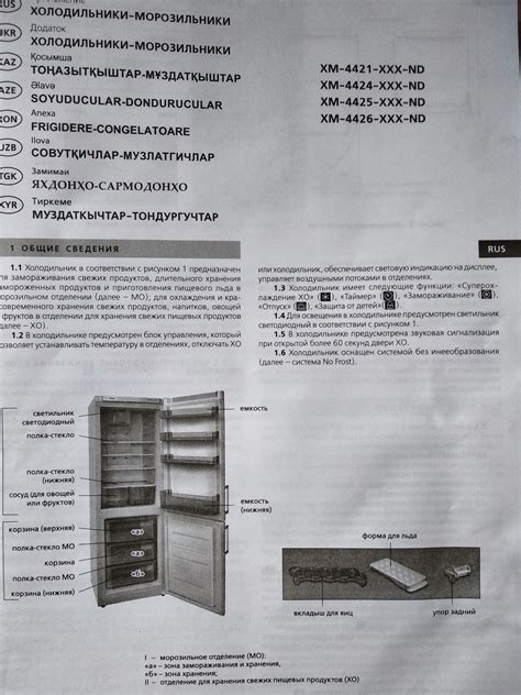  Основа работы морозильного отделения в холодильнике Атлант 