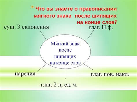  Понятие мягкого знака в правописании 