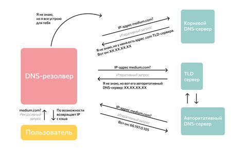  Применение нескольких DNS серверов: полезные советы для настройки и использования 