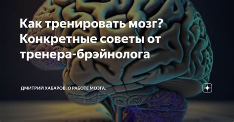  Реализация активности мозга: конкретные примеры его объемного функционирования 