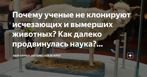  Факты и особенности яка как вид исчезающих животных 