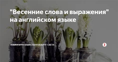 5 возможностей провести весенние занятия на языке Шекспира